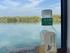 -白洋淀景区