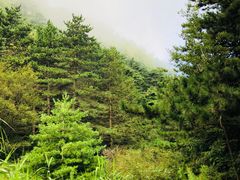 -塔云山
