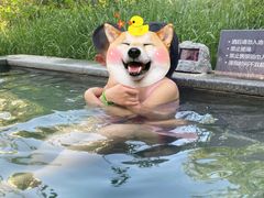 -中华郡温泉