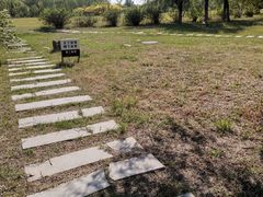 -武清南湖绿博园