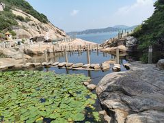 -桃花岛风景旅游区