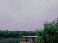 -大兴滨河森林公园