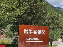 -牛背梁国家森林公园