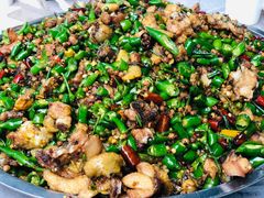 -铁山坪森林公园