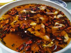 沸腾水煮鱼-鸭王烤鸭店(三里河店)