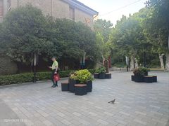-思南书局(复兴中路店)