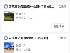 -西双版纳原始森林公园