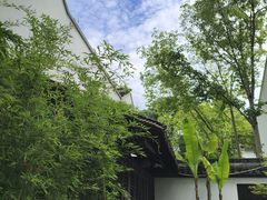 -练塘古镇