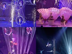 -广州长隆国际大马戏