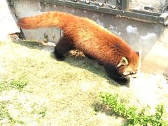 -茱萸湾风景区-售票处