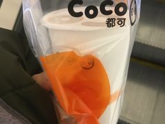 -CoCo都可(合生汇店)