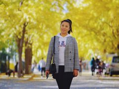 -三里屯东五街银杏大道