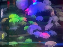 -太平洋海底世界