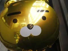 -KAKAO FRIENDS(弘大店)