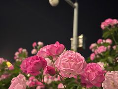 -南京眼步行桥