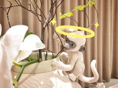 -潮一不贰·法式甜品·生日蛋糕·西式简餐(外滩店)