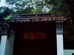 -深圳国际园林花卉博览园