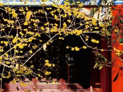 -开福禅寺