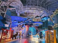 -烟台海昌鲸鲨海洋公园