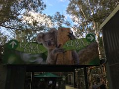 -费瑟代尔野生动物园