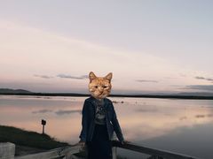 -黄河九曲第一湾
