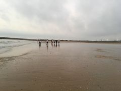 -日照灯塔风景区