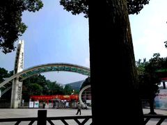 -南山植物园