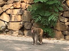 -苏州环秀晓筑养生度假村