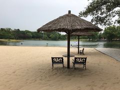 -上海佘山世茂艾美酒店