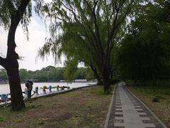 -北陵公园