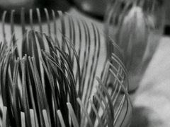 -柴务处·柴犬主题狗咖