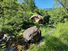 -云岫谷游猎自然风景区