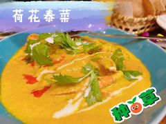 -荷花泰菜(东方新天地店)