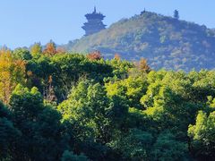 -杭州半山国家森林公园