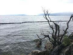-南诏风情岛
