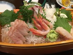 刺身-松子料理(亮马桥店)