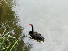 -水绘园