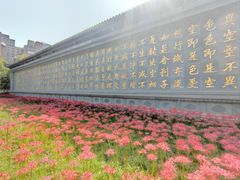 -西安大兴善寺