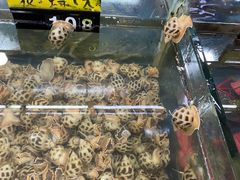 -明记海鲜大排档(巽寮湾店)