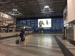 -米兰马尔彭萨国际机场