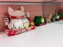 -斐尔国际皮肤管理中心