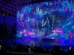 -海合安武汉极地海洋公园