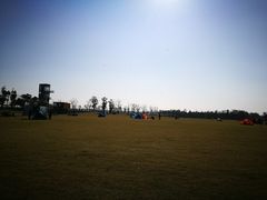 -春花秋色城市公园