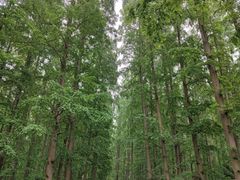 -上海怡沁园度假酒店