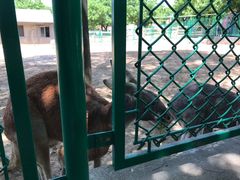 -西安秦岭野生动物园