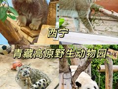 -青藏高原野生动物园