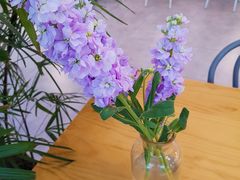 -CHEZ JASMINE 茉莉的氧气厨房