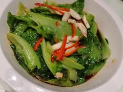 -老广酒楼(樱花店)