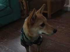 -默迹咖啡馆