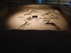 -洛阳周王城天子驾六博物馆